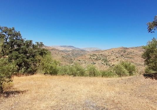 Country house in Alora