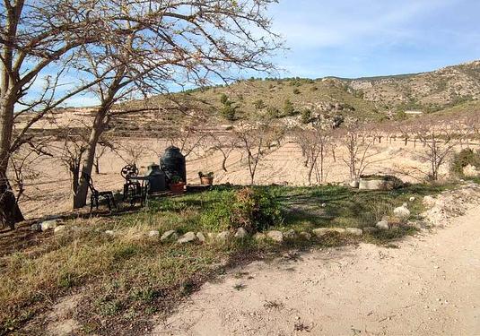 Country house in Jumilla