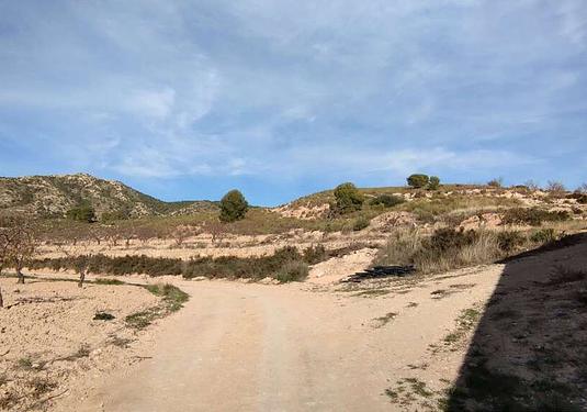 Country house in Jumilla