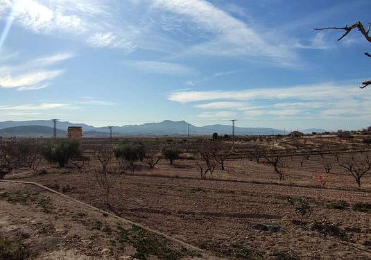 Country house in Jumilla