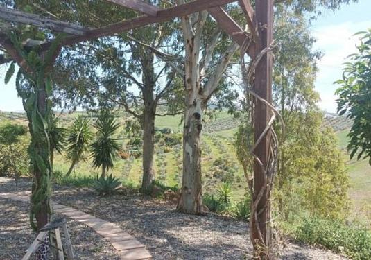 Country house in Alora