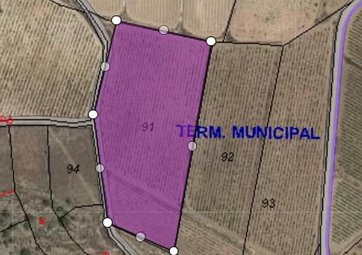 Land in Monóvar/Monóver