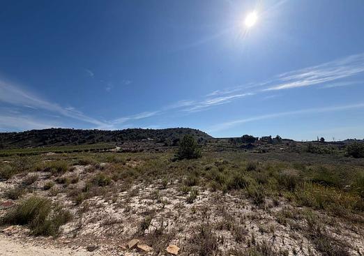 Land in Torremendo