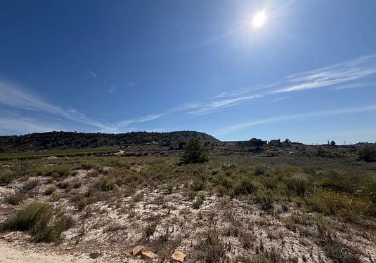 Land in Torremendo