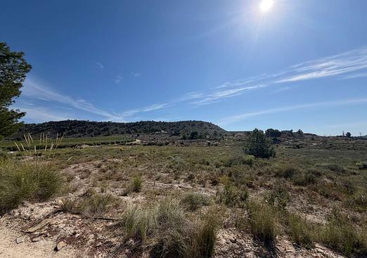 Land in Torremendo