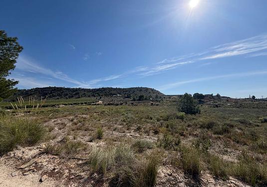 Land in Torremendo
