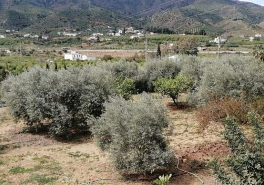 Country house in Alora