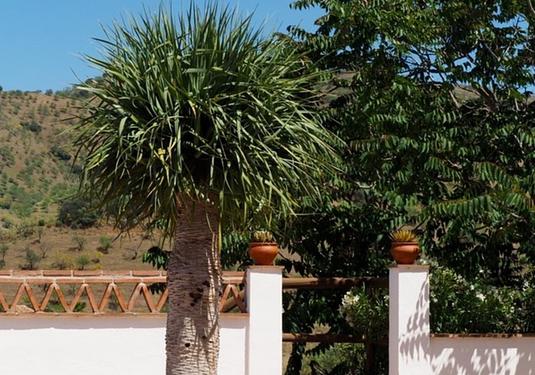 Country house in Alora