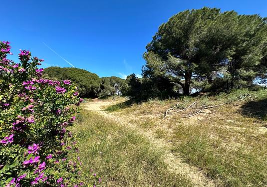 Town house in Guardamar del Segura