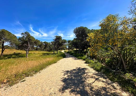 Town house in Guardamar del Segura
