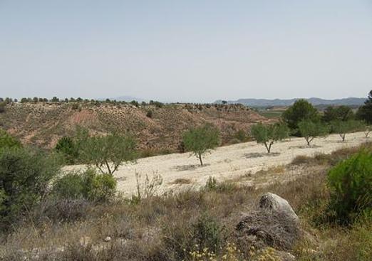 Land in Murcia