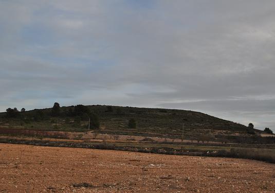 Land in Canada del Trigo