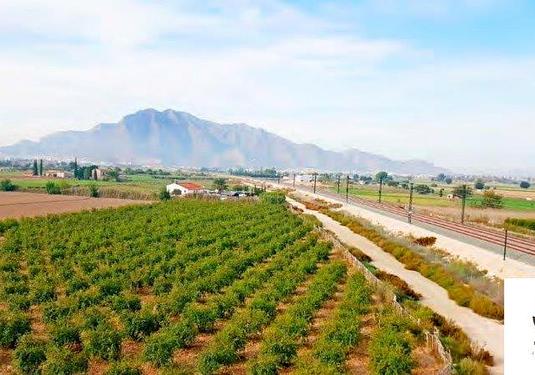 Finca in Callosa de Segura