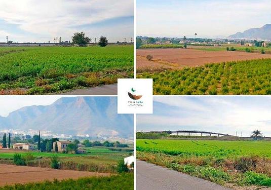 Finca in Callosa de Segura