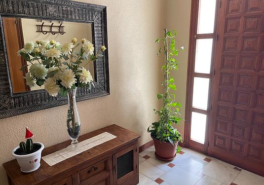 Villa in San Miguel de Salinas