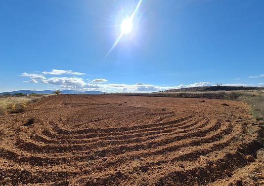 Land in Yecla