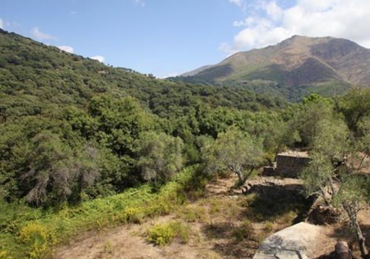 Finca in Casares