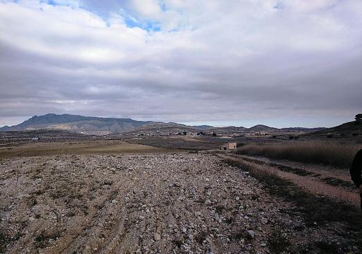 Land in Torre Del Rico