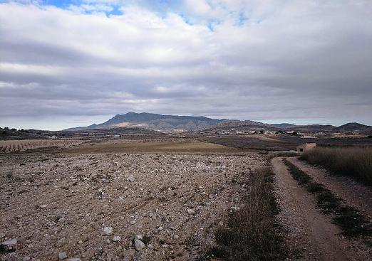 Land in Torre Del Rico