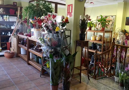 Town house in Pinoso