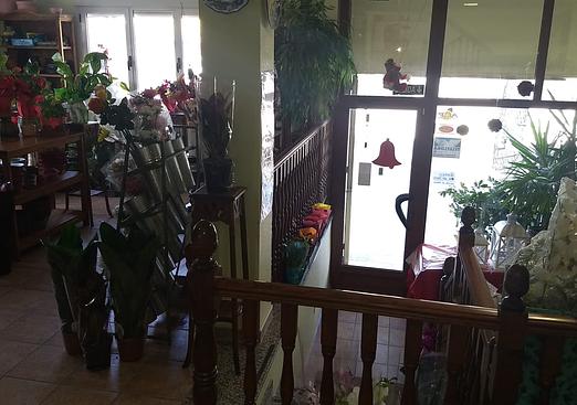 Town house in Pinoso