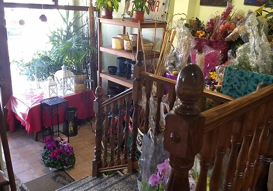 Town house in Pinoso