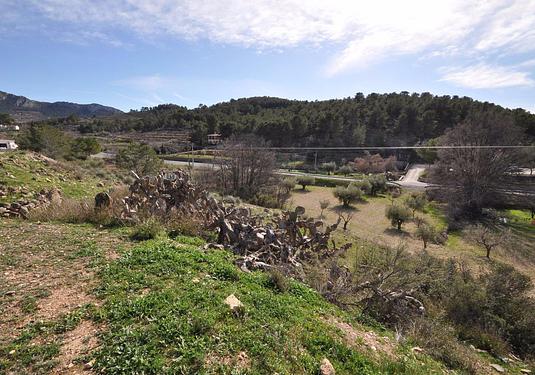 Country house in La Zarza