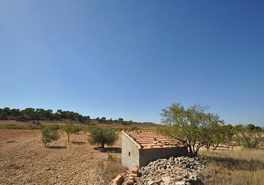 Land in Torre Del Rico