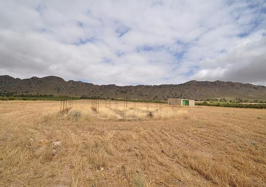 Land in Yecla