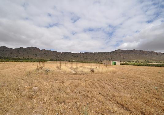 Land in Yecla