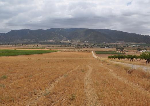 Land in Yecla