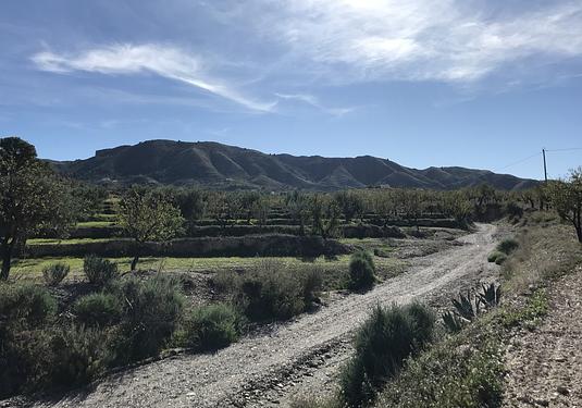 Finca in Lorca
