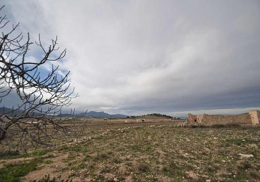 Other in Torre Del Rico