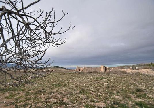 Other in Torre Del Rico