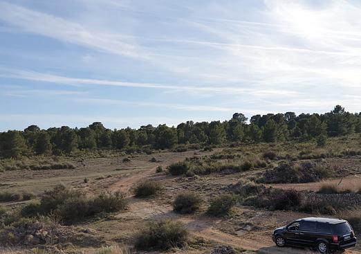 Land in Pinoso
