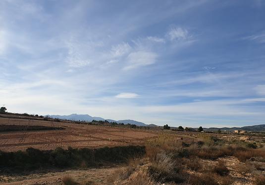 Land in Pinoso