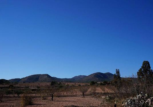 Country house in Jumilla