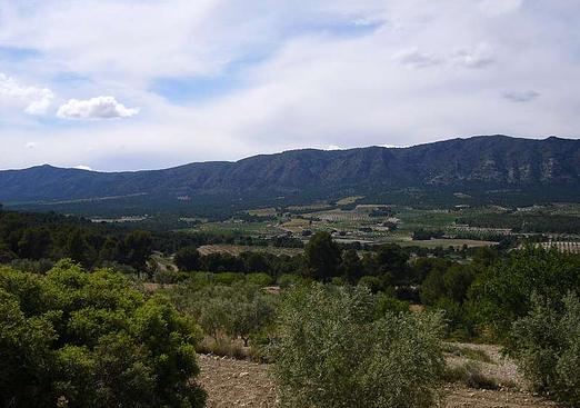 Country house in Salinas