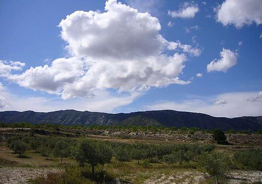 Country house in Salinas