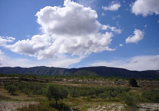 Country house in Salinas