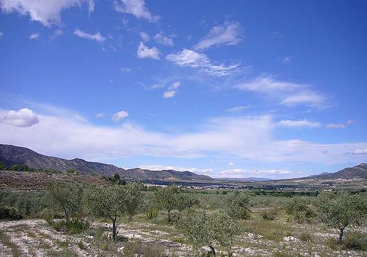 Country house in Salinas