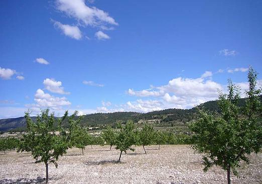 Country house in Salinas