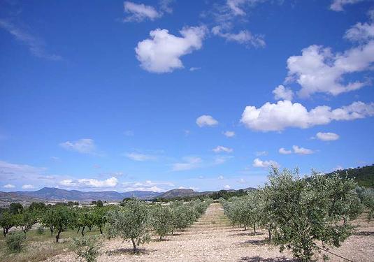 Country house in Salinas