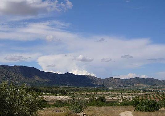 Country house in Salinas