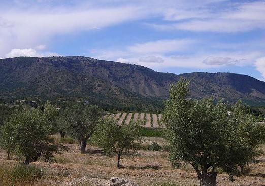 Country house in Salinas