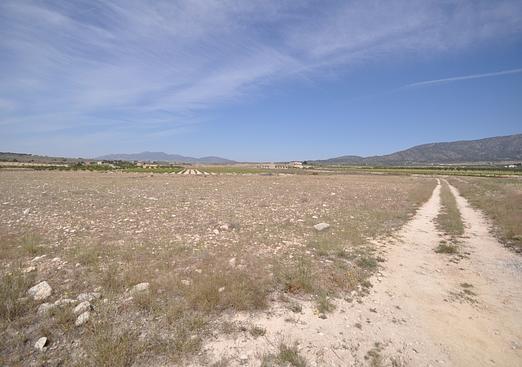 Land in Pinoso