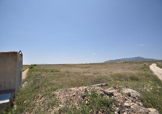 Land in Pinoso