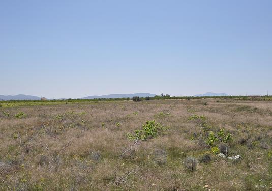 Land in Pinoso