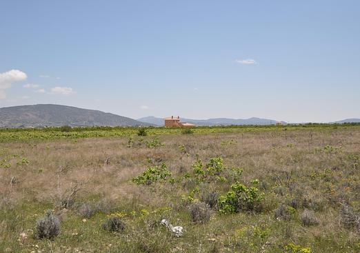 Land in Pinoso