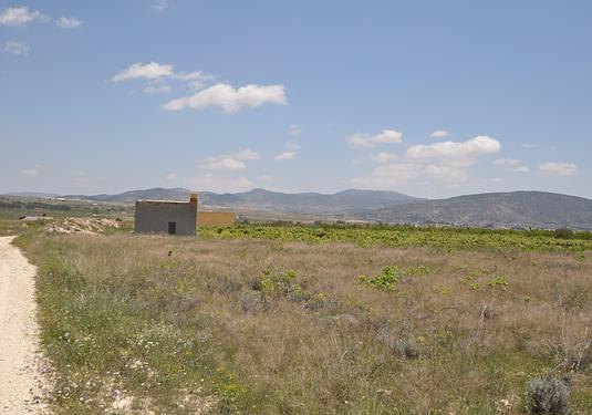 Land in Pinoso